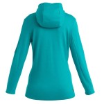 Icebreaker Quantum III LS Zip Hoodie Women